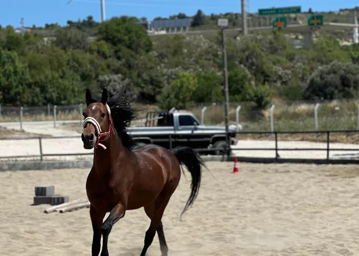 Ride And * Чешме