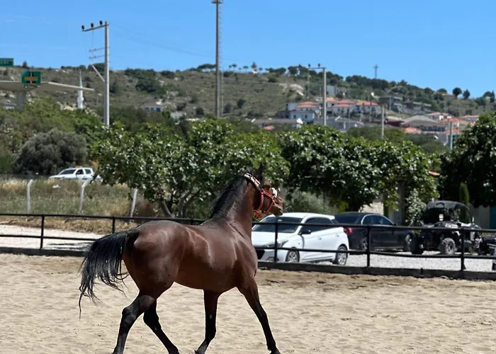 Ride And Готель