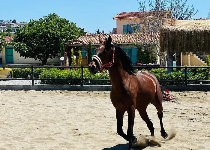 Готель Ride And