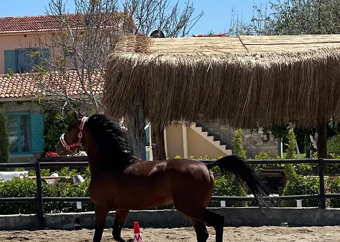 Готель Ride And *